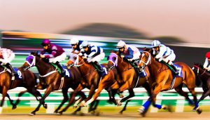 Alibaba PMU: conseils avisés pour maximiser tes gains 🏇
