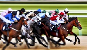 Découvre l'action à l'hippodrome de Toulouse 🏇