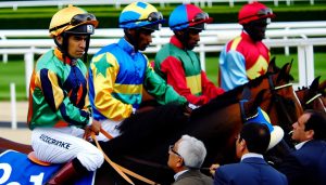 Découvre l'univers captivant de l'auteuil hippodrome 🏇