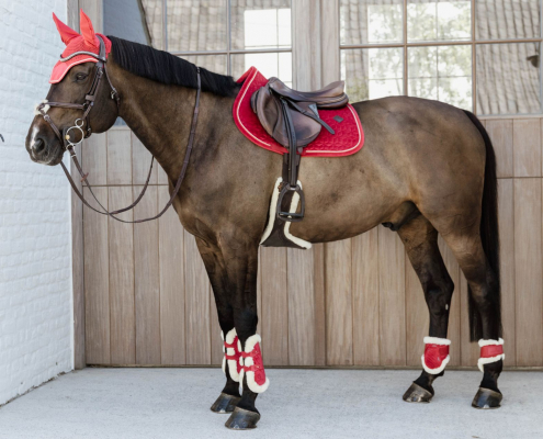 découvrez tout l'équipement essentiel pour votre cheval : selles, brides, protections, soins et accessoires pour garantir confort et sécurité à votre compagnon.