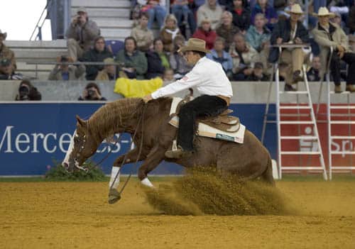 découvrez nos conseils et astuces pour réussir vos compétitions de reining équestre. progressez, optimisez vos performances et brillez lors de vos prochains concours grâce à une préparation efficace !