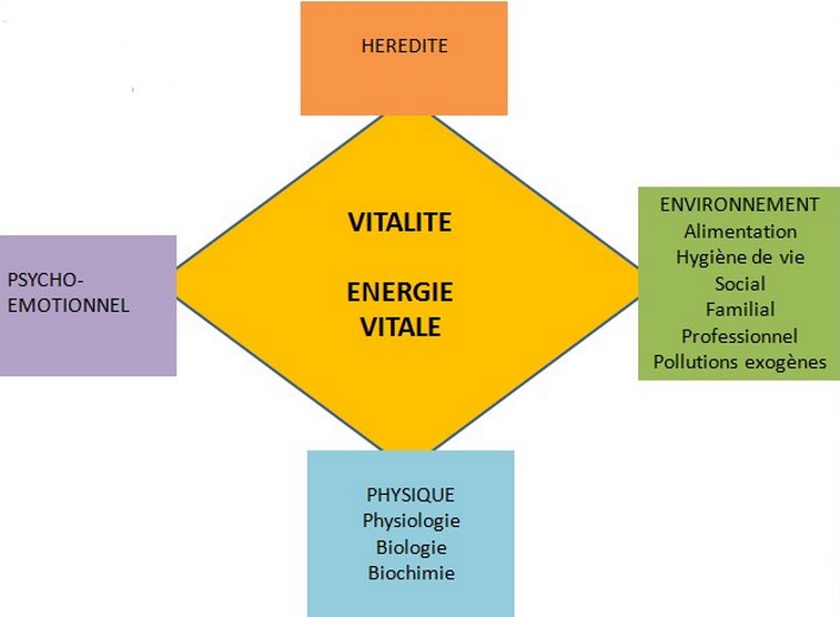découvrez les principes fondamentaux de l'approche holistique et explorez ses diverses applications pour un bien-être global et harmonieux.
