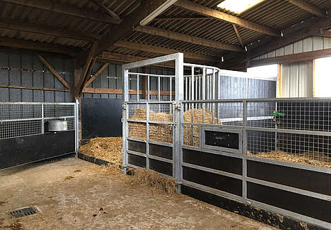 découvrez nos conseils pratiques pour l'entretien optimal des boxes à chevaux et assurez-leur un espace propre, sûr et confortable au quotidien.