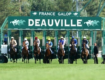 découvrez les différentes catégories de chevaux pmu pour mieux parier et maximiser vos gains. informations complètes et conseils pour les courses hippiques.