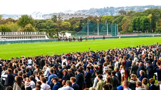 découvrez toutes les catégories de chevaux pmu pour parier en toute confiance. analyse, pronostics et conseils pour maximiser vos gains aux courses hippiques.