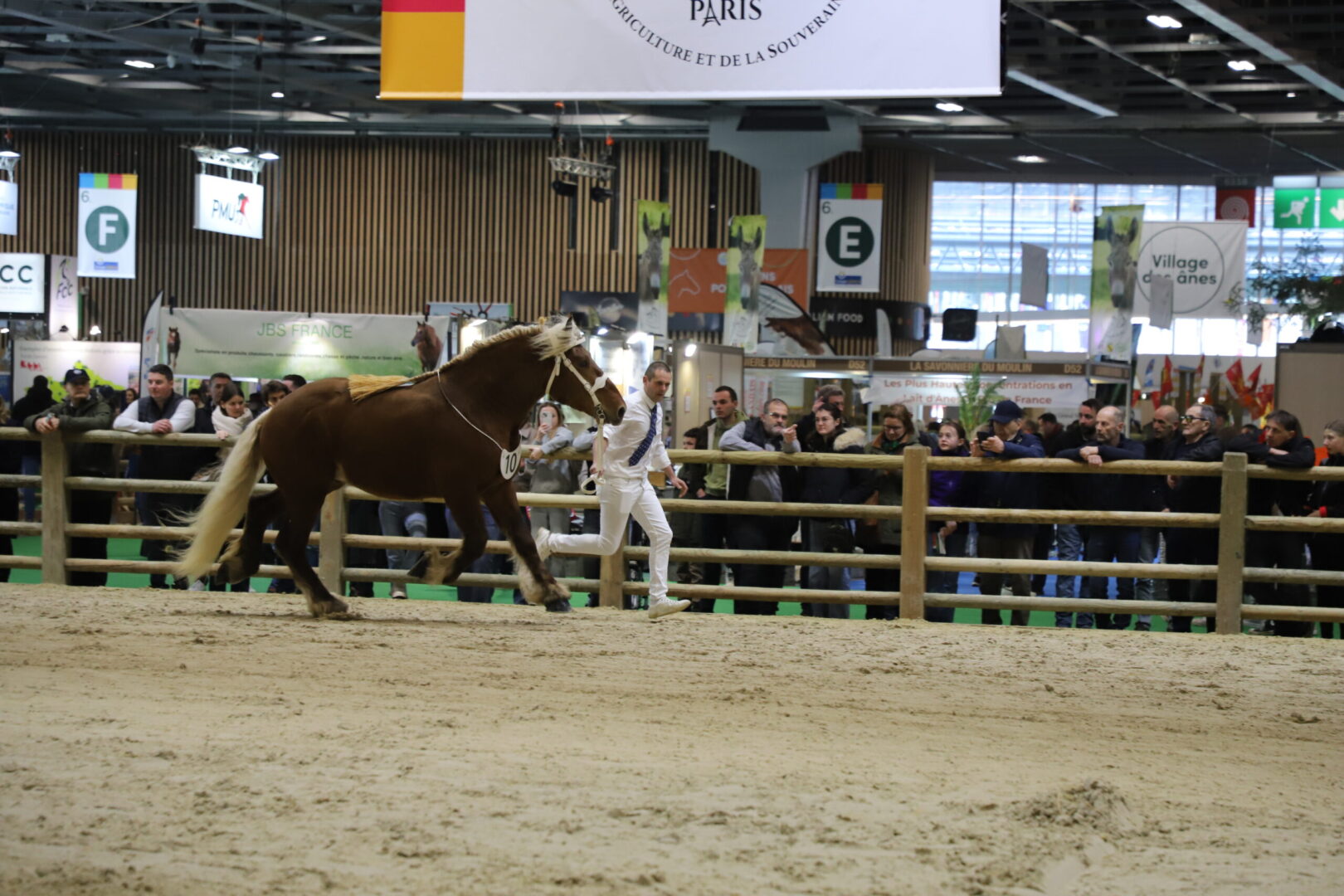 découvrez notre guide complet sur le cheval comtois : caractéristiques, histoire, entretien et conseils pour bien connaître cette race emblématique.