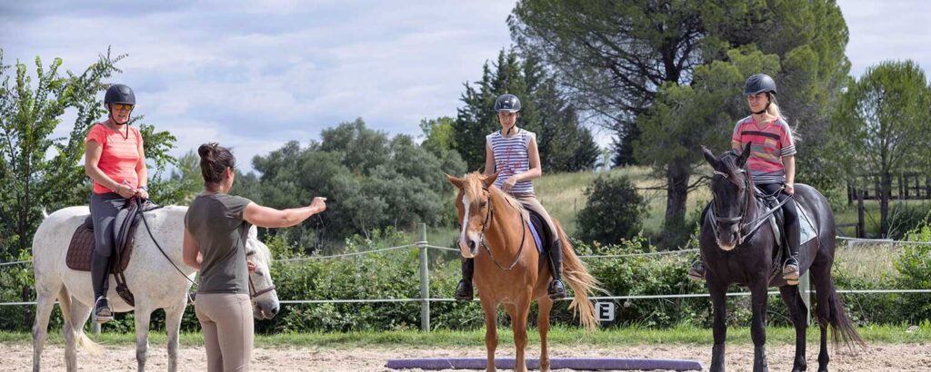 découvrez comment choisir une écurie proche idéale pour votre cheval, en tenant compte du confort, de la sécurité et des services proposés pour le bien-être de votre compagnon.