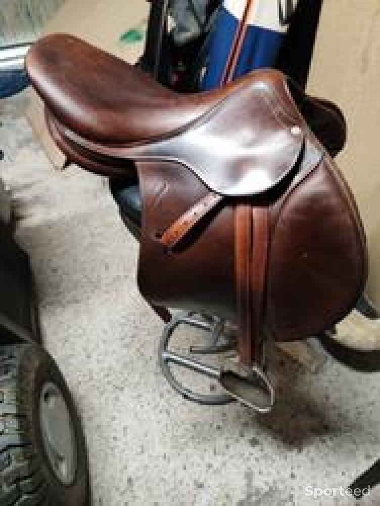 découvrez comment choisir la selle antarès idéale pour votre cheval, alliant confort, performance et qualité pour des séances d'équitation réussies.
