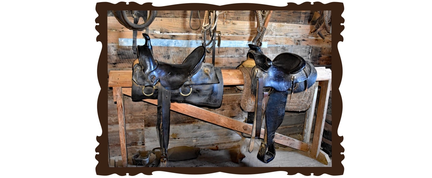 découvrez comment choisir la selle western idéale pour un confort et une performance optimale lors de vos balades et compétitions équestres.