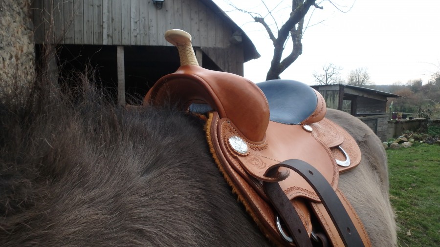 découvrez comment choisir la selle western idéale pour allier confort, performance et style lors de vos balades et compétitions équestres.