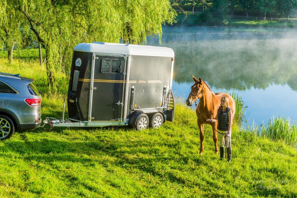 découvrez comment choisir un van sûr pour chevaux, alliant sécurité, confort et fiabilité pour le transport optimal de vos animaux.