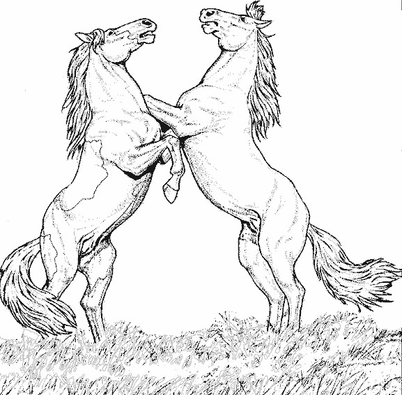 téléchargez gratuitement des coloriages de chevaux pour enfants et adultes. des dessins de chevaux variés à imprimer et colorier facilement.