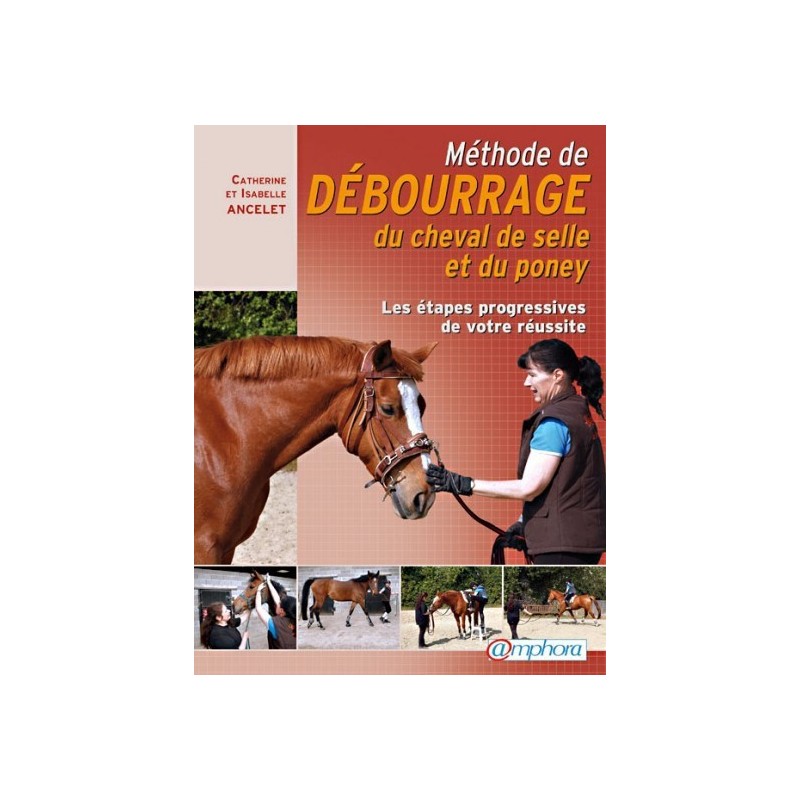 apprenez les conseils clés pour le débourrage d'un cheval, étape essentielle pour un dressage réussi et une relation harmonieuse entre cavalier et cheval.