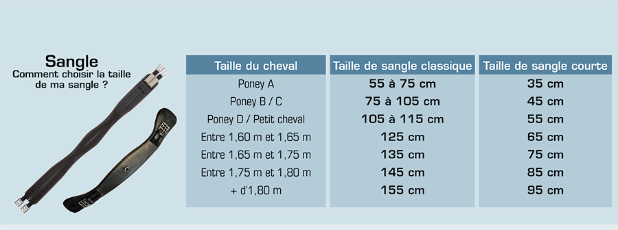 découvrez notre guide complet du mini cheval : soins, alimentation, entraînement et conseils pratiques pour bien comprendre et prendre soin de ce cheval miniature unique.
