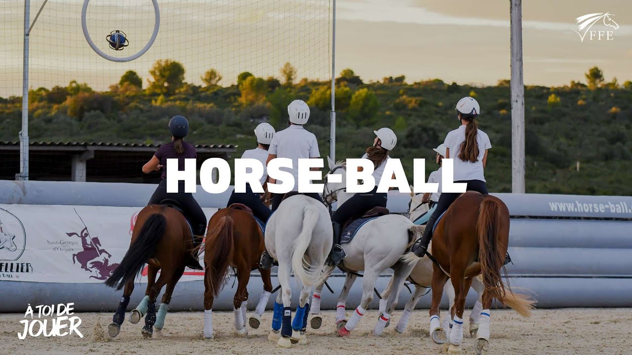 découvrez le guide complet du horse ball : apprenez les règles essentielles et les conseils pour bien débuter dans ce sport équestre passionnant.