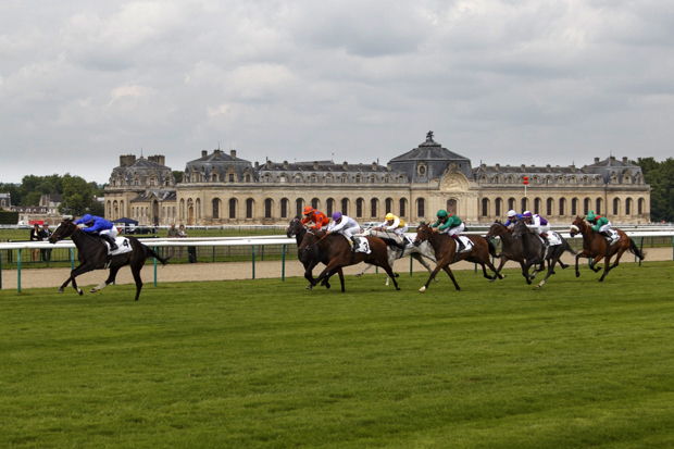 découvrez l'histoire fascinante de l'hippodrome de chantilly et les événements incontournables qui rythment cette célèbre piste de courses.