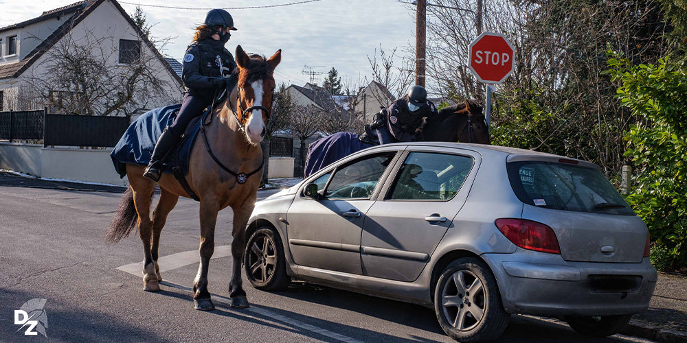 découvrez l'importance des horse stops pour assurer la sécurité équestre et prévenir les accidents lors de vos balades à cheval.