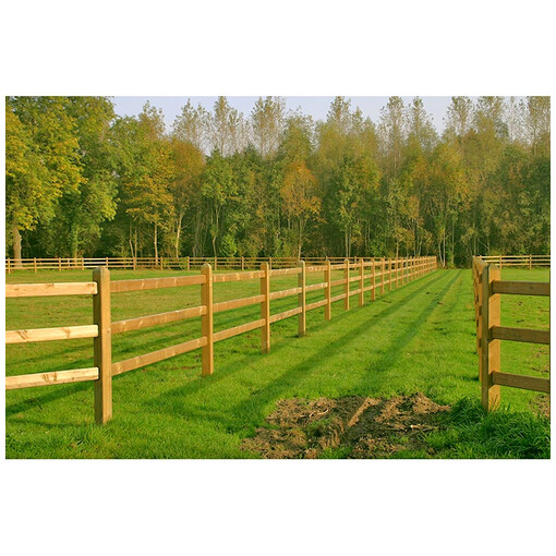 découvrez comment choisir la meilleure clôture pour cheval alliant sécurité, durabilité et confort afin de protéger efficacement vos chevaux.