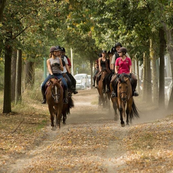 découvrez les meilleurs centres équestres à paris, adaptés aux débutants comme aux cavaliers confirmés, pour pratiquer l'équitation dans un cadre convivial et professionnel.