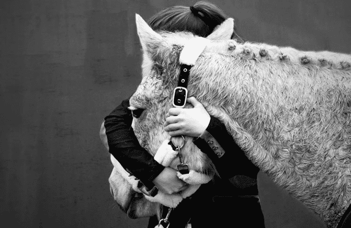 découvrez nos astuces élégantes pour photographier les chevaux avec style et capturer leur beauté naturelle.