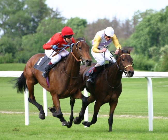 découvrez comment devenir chevalier équestre : entraînement, compétences et traditions pour maîtriser l'art de l'équitation et de la chevalerie.