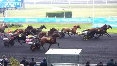 découvrez les dernières chances de headscott dans le quinté pmu et suivez ses performances pour une confirmation attendue.