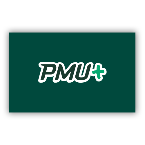 découvrez comment optimiser vos reports pmu pour maximiser vos gains et améliorer vos stratégies de paris hippiques.