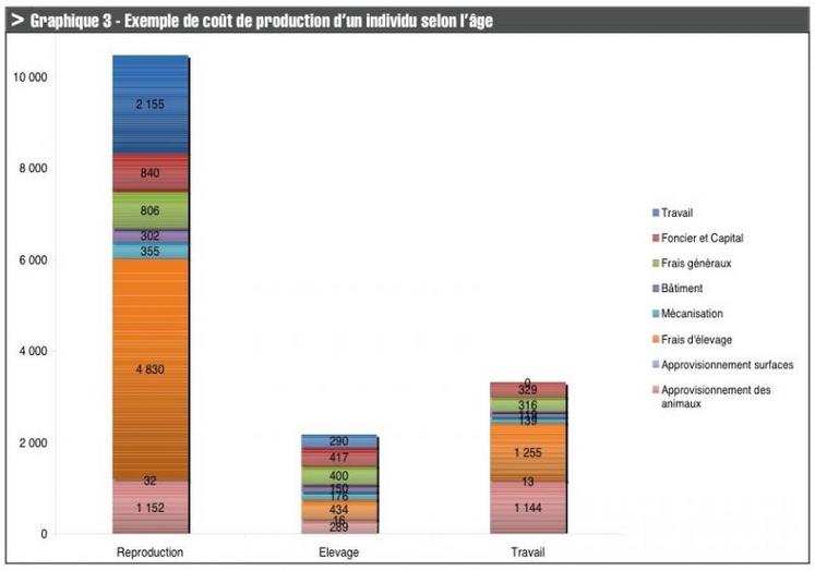 découvrez les prix et coûts associés à l'achat et à l'entretien d'un cheval, pour mieux planifier votre investissement équestre.