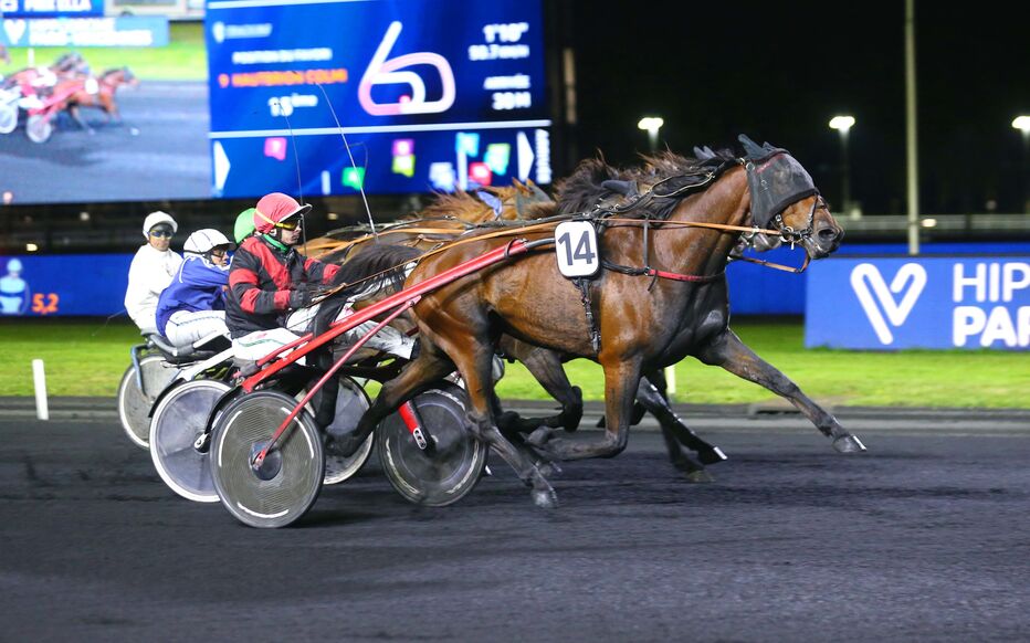 pariez sur le quinté+ pmu et défiez les meilleurs chevaux internationaux dans des courses passionnantes. analyse, pronostics et mises pour maximiser vos gains.