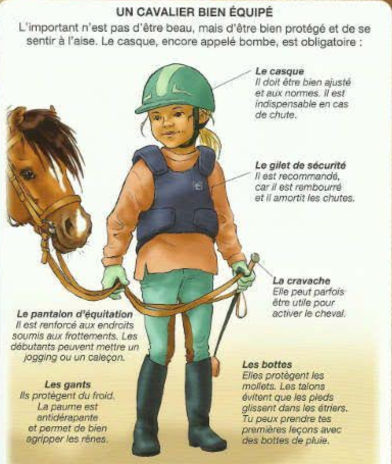 découvrez les étapes clés et conseils essentiels pour réussir la saillie du cheval, de la préparation à la gestion après la mise à la reproduction.