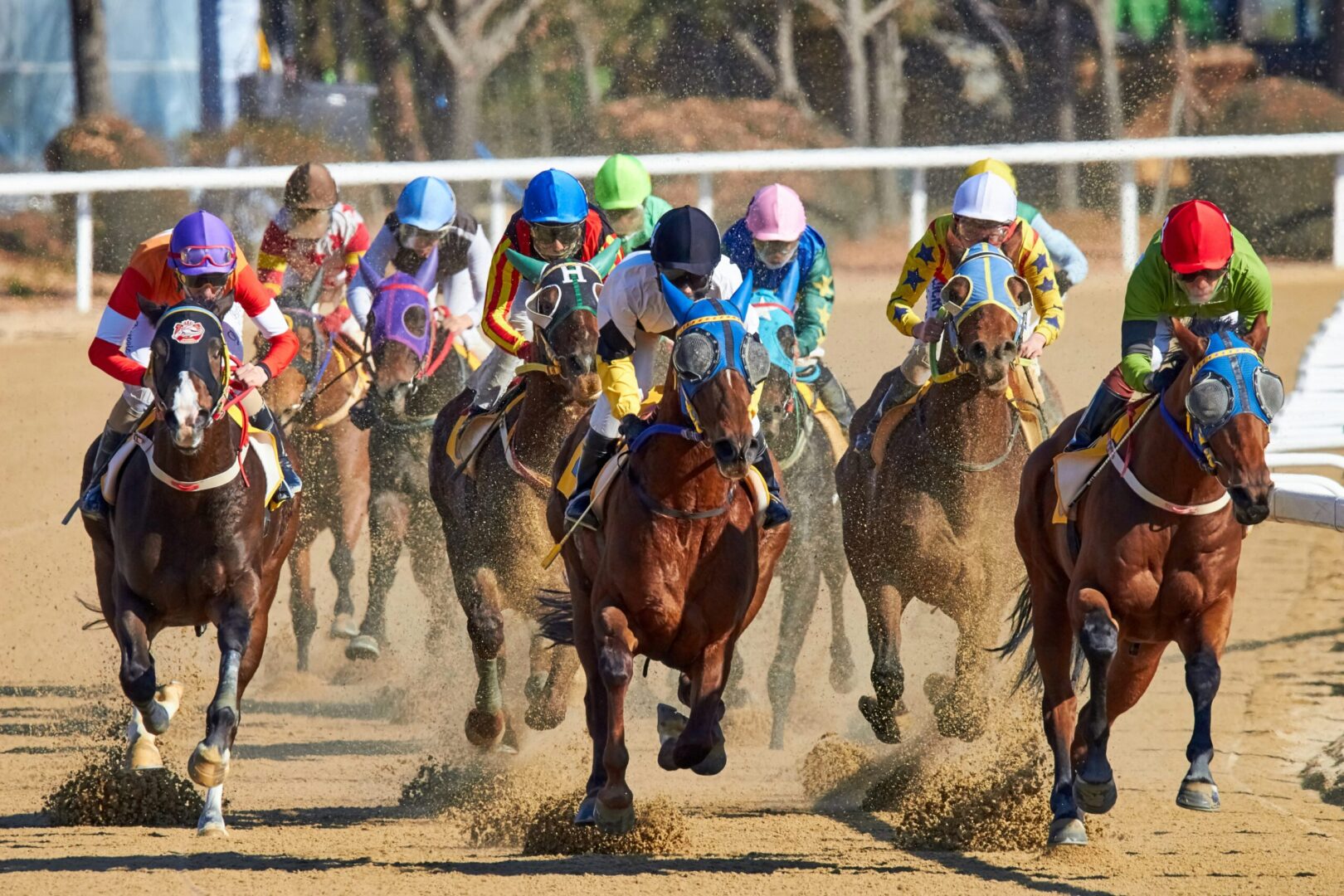 découvrez nos conseils et astuces pour maximiser vos gains avec les tickets pmu. apprenez à choisir les meilleures options et à optimiser vos paris hippiques.