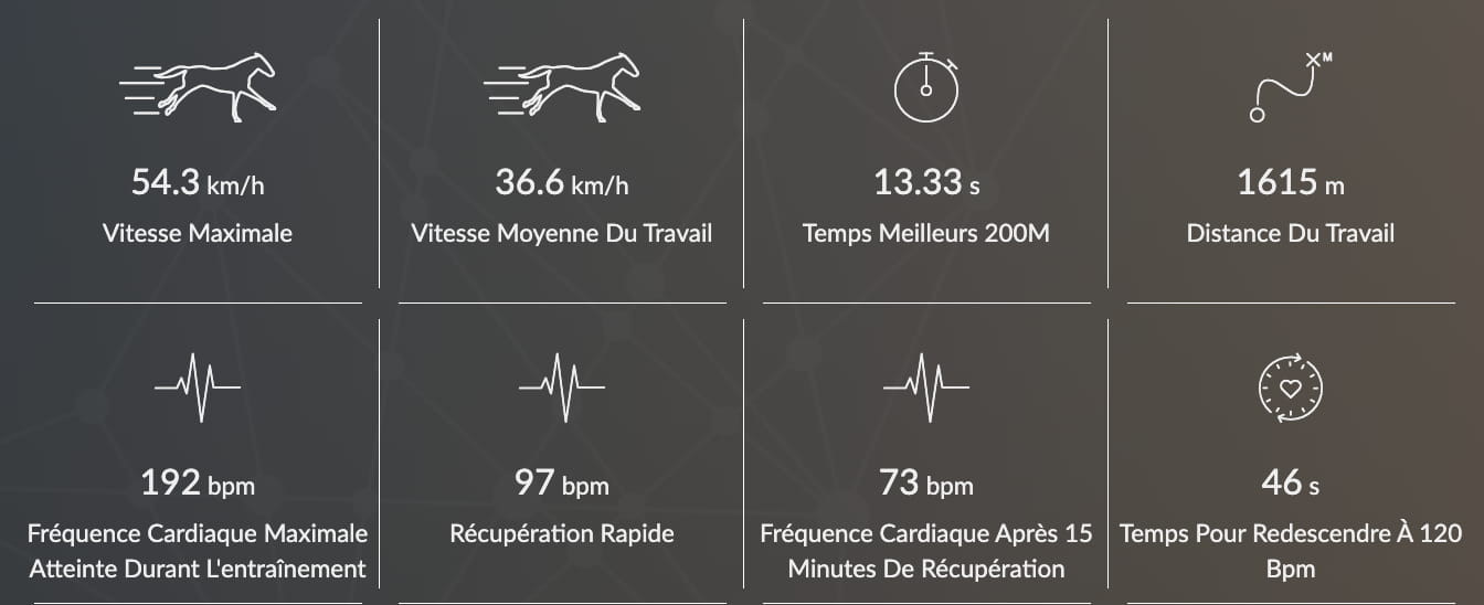 découvrez la vitesse moyenne des chevaux lors des courses et des entraînements, ainsi que les facteurs influençant leurs performances.