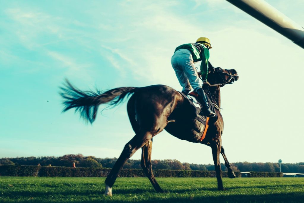 découvrez la vitesse moyenne d'un cheval lors des courses et des entraînements, ainsi que les facteurs influençant ses performances.