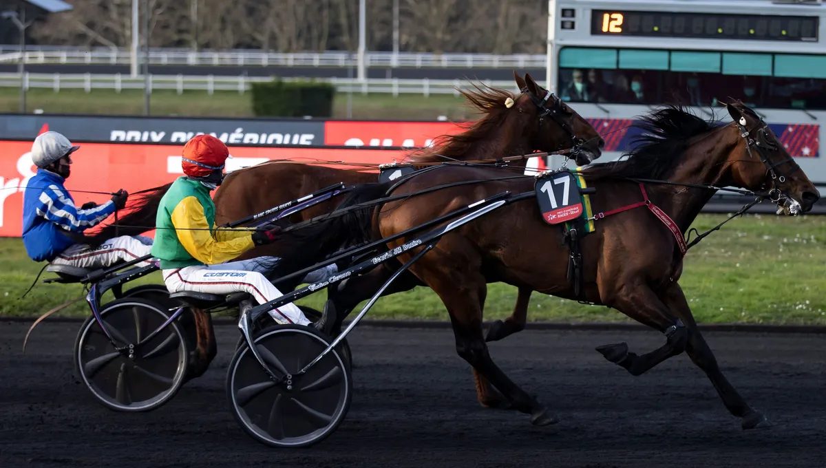 découvrez le jackpot exceptionnel de 216 284 € remporté au pmu dans le sud-manche, une victoire qui fait sensation parmi les passionnés de courses et paris.