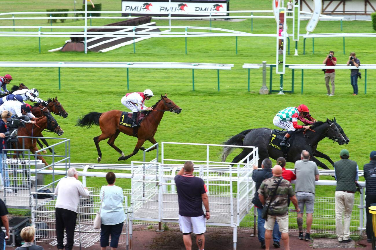 découvrez les pronostics et analyses pour le quinté+ pmu sur la course o sole mio. maximisez vos chances de gain avec nos conseils experts et résultats à jour.