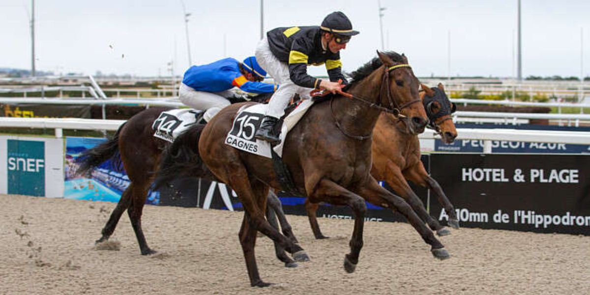 découvrez nos pronostics pour la réunion de courses à l'hippodrome de paris-vincennes du 5 février, analyses et conseils pour parier avec confiance.
